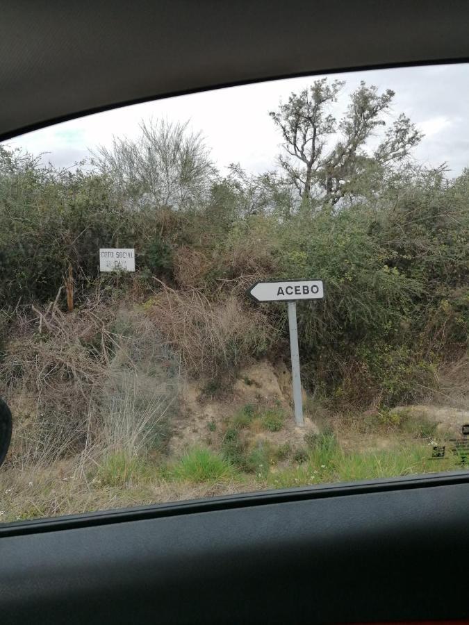La Torrita *